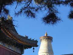 -五台山风景名胜区-罗睺寺