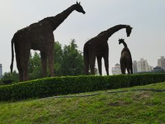 -莲花池公园