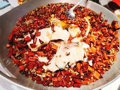 -天辣(金桥啦啦宝都店)