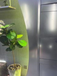 -不迫先生专业男士剪发