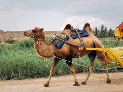 -镇北堡西部影城