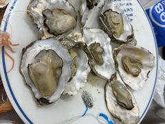 -小海丁