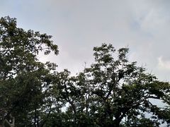 -罗田薄刀峰风景区