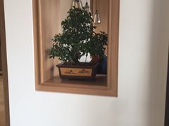 -华清宫-观风楼