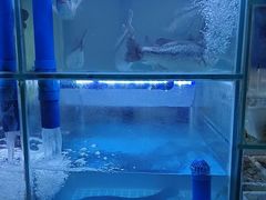 -粤香楼(新光里店)