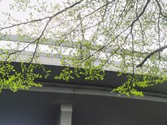 -火炉山森林公园
