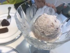 -BLACKSWAN黑天鹅(环球店)