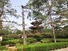 -大慈恩寺(大雁塔)