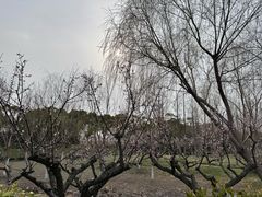 -狼山风景名胜区