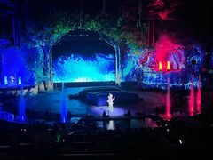 -广州长隆国际大马戏