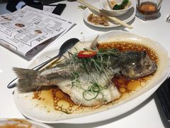 -至潮餐厅精致粤菜·活鲈鱼·走地鸡(珠江新城店)