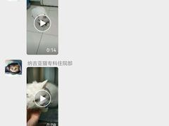 -纳吉亚猫专科动物医院博雅分院