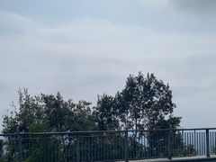 -紫金山索道-售票处