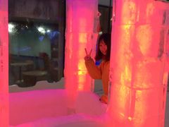 -世界之窗阿尔卑斯冰雪世界