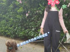 -汪小喵宠物·戴维斯乐芳希施宠馨宝皮毛调理洗护店