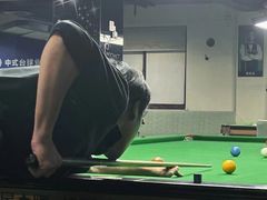 -新新潘晓婷台球俱乐部(周浦店)