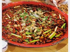 -东吴霸王兔(松青路店)