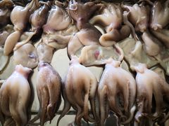 -大连海鲜斑鱼火锅(安平店)