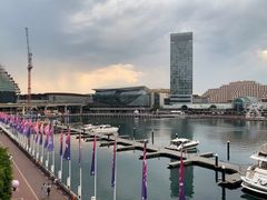 -Pancakes on the rocks(Darling Harbour)