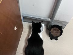 -联合动物医院(光谷诊疗中心)