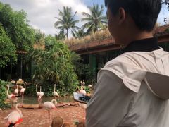 -海南热带野生动植物园