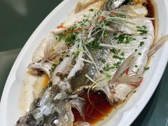 -莆鑫海鲜城(浏河店)