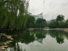-莲湖公园