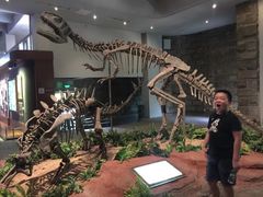 -自贡恐龙博物馆