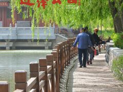 -迎泽公园