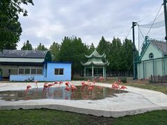 -秦皇岛野生动物园