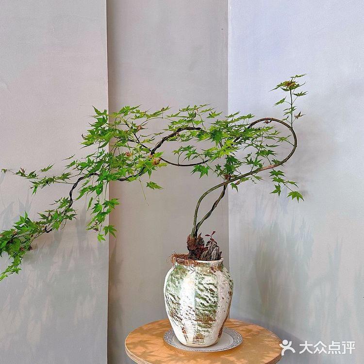 二刷啦！大良“Alldaymade-全日製食