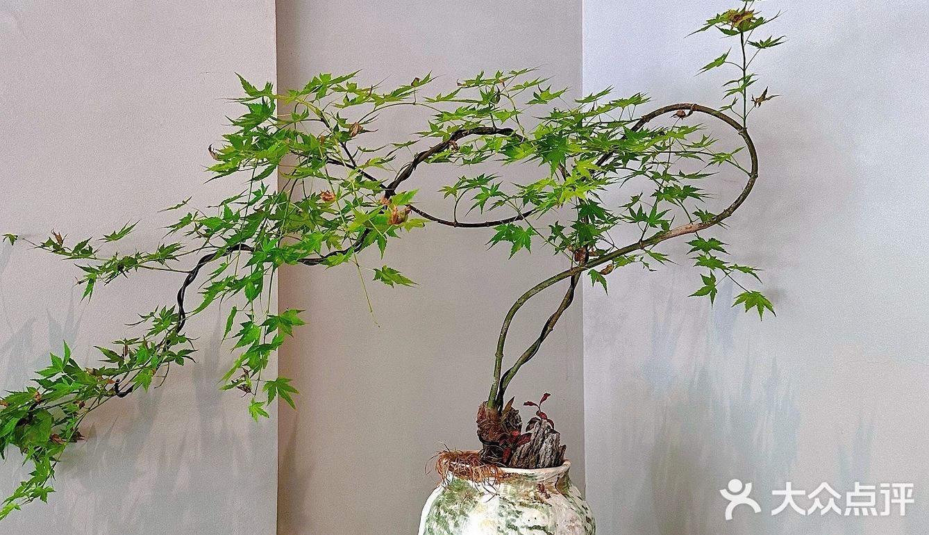 二刷啦！大良“Alldaymade-全日製食