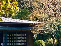 -云溪植物园
