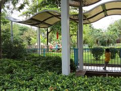 -荔湾区儿童公园