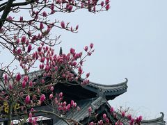 -凤凰沟景区