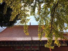 -宝通禅寺