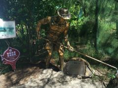 -北海金海湾红树林生态旅游区