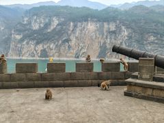 -白帝城·瞿塘峡景区