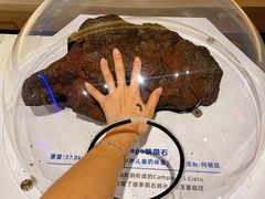 -正佳自然科学博物馆