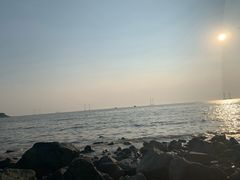 -宝安西湾红树林湿地公园