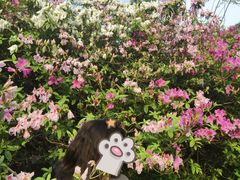 -雀儿山公园
