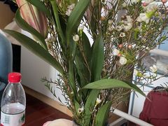 -双季花艺园艺市场(浦东店)