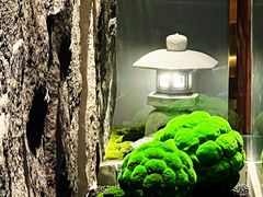 -元通寿司(东骏店)