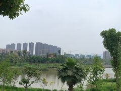 -枫香湖儿童公园