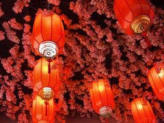 -杨记齐齐哈尔烤肉(总店)