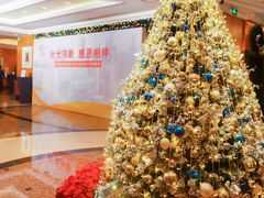 -深圳富苑皇冠假日套房酒店