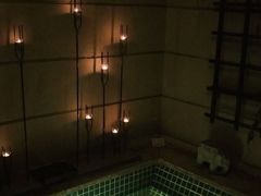 -春晖园度假酒店温泉