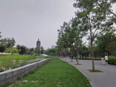 -西海子公园