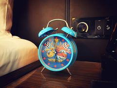 -上海滴水湖皇冠假日酒店