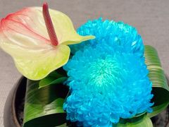 -大儒小厨·苏浙菜(瑞虹太阳宫店)